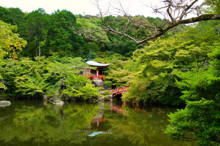 [2025]京都的夏季节日和传统活动：从祇园祭到风铃节！