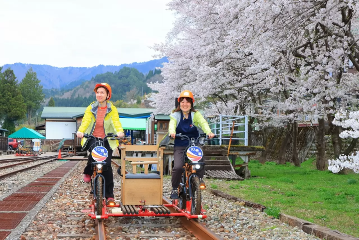 Rail Mountain Bike Gattan Go