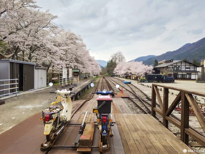 Rail Mountain Bike Gattan Go