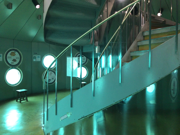 [土佐清水市高知县清水市 ] 不穿泳衣也能玩得开心！龙串海特辑