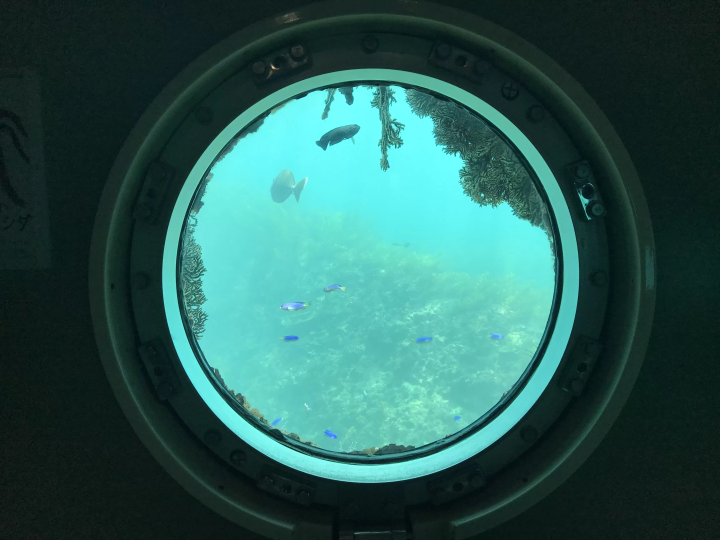 [土佐清水市高知县清水市 ] 不穿泳衣也能玩得开心！龙串海特辑