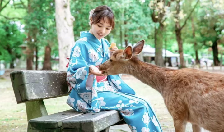 奈良の着物レンタル