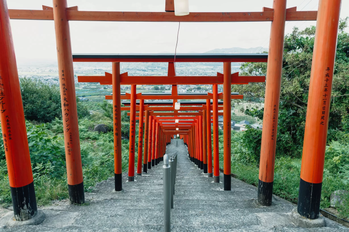 자연과 역사가 숨쉬는 후쿠오카・우키하 하의 매력을 만끽!