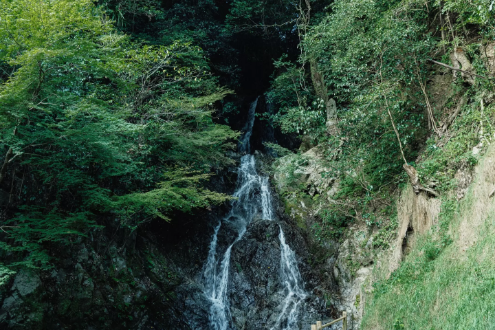 자연과 역사가 숨쉬는 후쿠오카・우키하 하의 매력을 만끽!