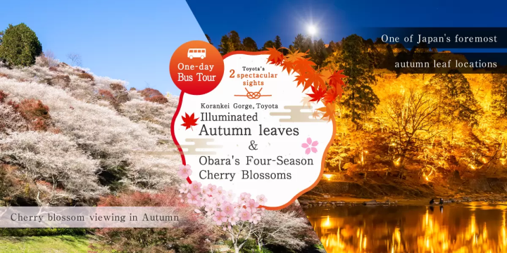 [About 1 hour from Nagoya Station] Korankei Autumn Leaves & Obara Shikizakura Day Trip Bus Tour & Japanese Paper Making Experience Course