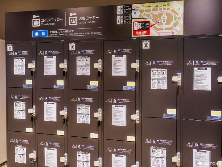 THE OUTLETS 湘南平塚