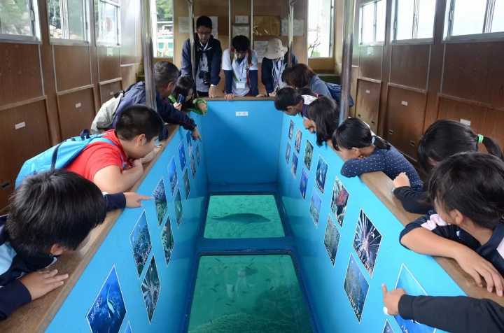 [土佐清水市高知县清水市 ] 不穿泳衣也能玩得开心！龙串海特辑