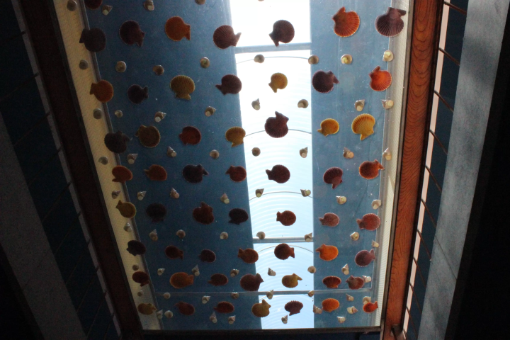 [土佐清水市高知县清水市 ] 不穿泳衣也能玩得开心！龙串海特辑