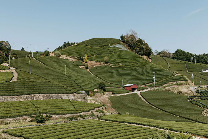 京都站出发!泊两夜旅游路线:京都南山城村、天理奈良轻松游