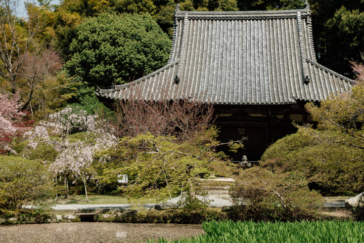京都站出发!泊两夜旅游路线:京都南山城村、天理奈良轻松游