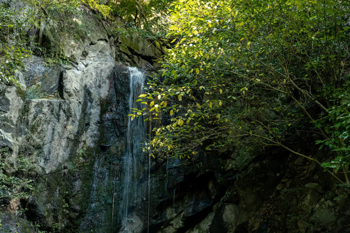 京都站出发!泊两夜旅游路线:京都南山城村、天理奈良轻松游