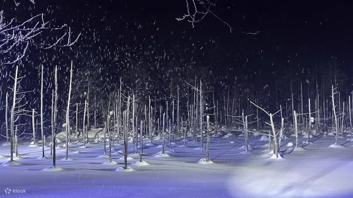 Hokkaido Biei Winter Blue Pond and Shirahige Falls Illumination