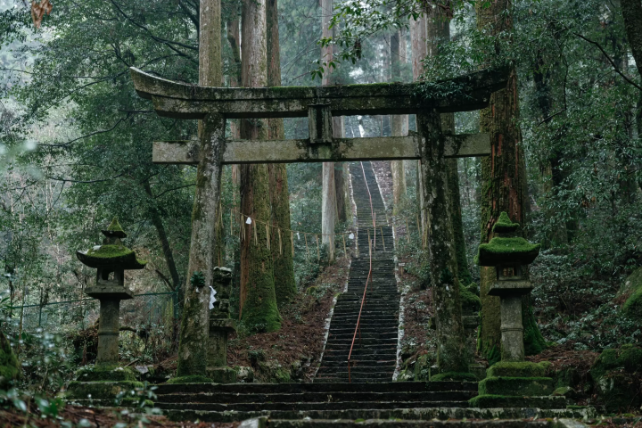 ออกเดินทางจาก นาโกย่า! ทริปขับรถ 3 โทมาริ 2 คืนเพื่อเพลิดเพลินไปกับวัฒนธรรมและธรรมชาติของ มิโน และ กูโจ