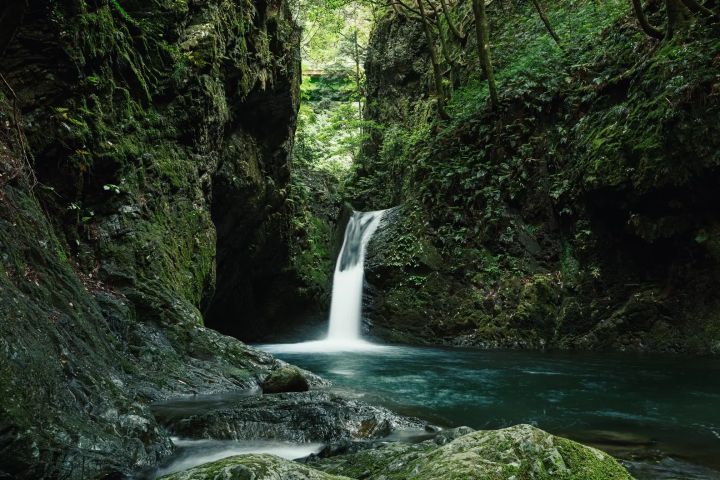 ออกเดินทางจาก นาโกย่า! ทริปขับรถ 3 โทมาริ 2 คืนเพื่อเพลิดเพลินไปกับวัฒนธรรมและธรรมชาติของ มิโน และ กูโจ