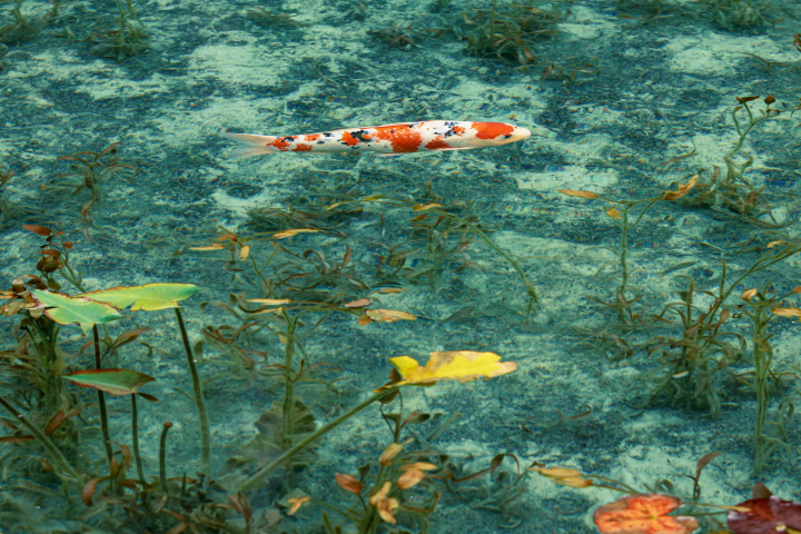 ออกเดินทางจาก นาโกย่า! ทริปขับรถ 3 โทมาริ 2 คืนเพื่อเพลิดเพลินไปกับวัฒนธรรมและธรรมชาติของ มิโน และ กูโจ