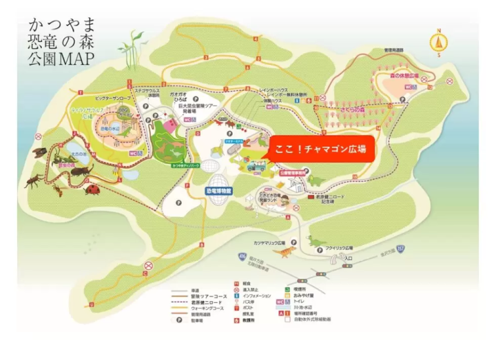 [2025年更新] 在福井县立恐龙博物馆周边享用恐龙午餐和当地美食！