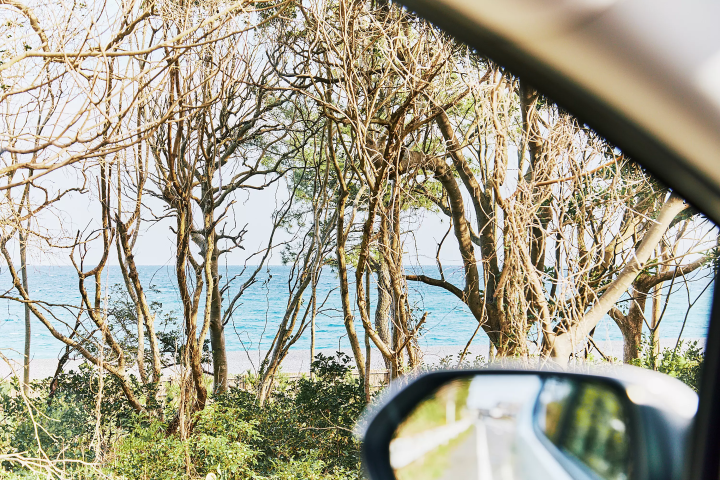 【三重县御浜町熊野三重县古道】与大自然融为一体的周末悠闲之旅
