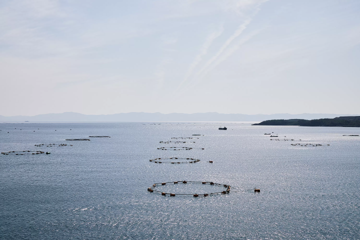 [Kagoshima Prefecture, Tarumizu City] A two- Tomari trip to soothe your body and mind with hot springs and saunas