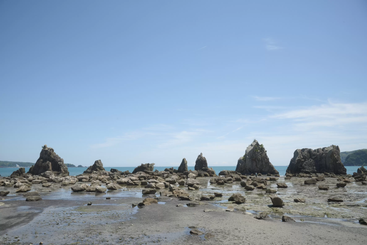 [和歌山县串本町] 亲身体验养殖金枪鱼的海上学习之旅。适合全家的泊一夜海上体验