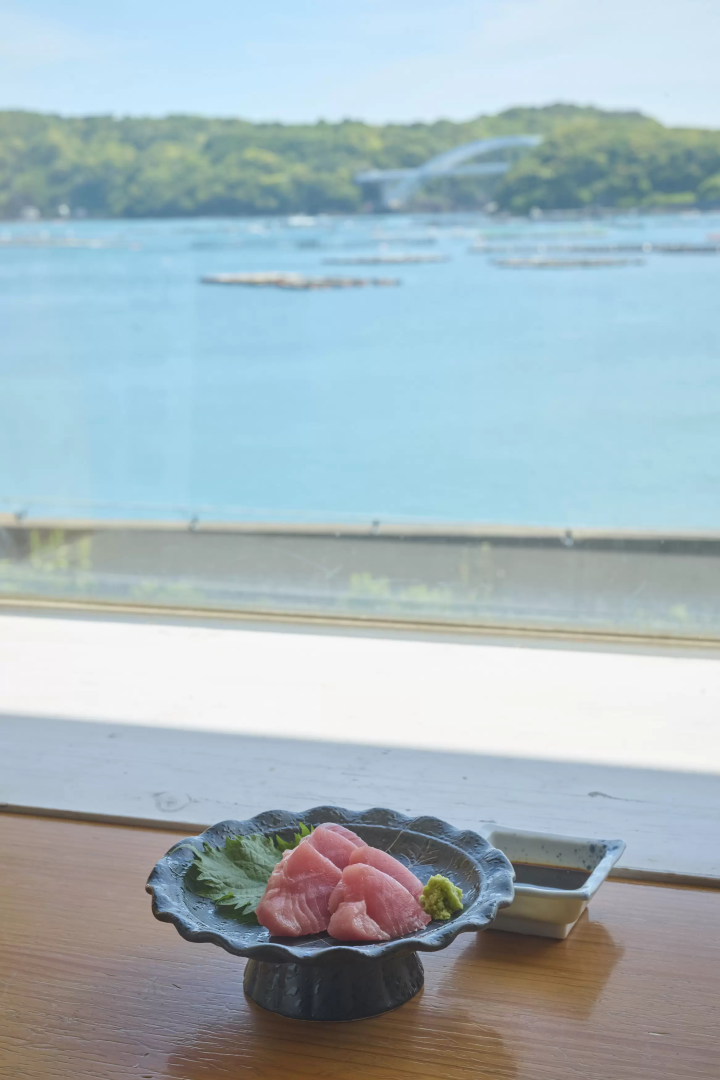 [和歌山县串本町] 亲身体验养殖金枪鱼的海上学习之旅。适合全家的泊一夜海上体验