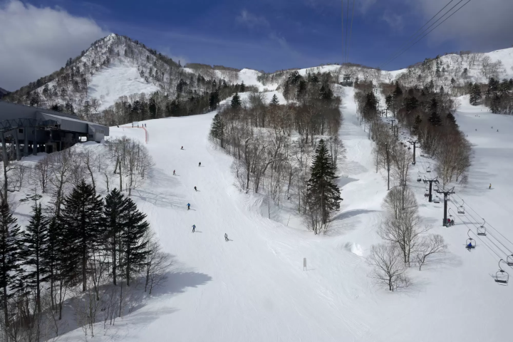 富良野滑雪場