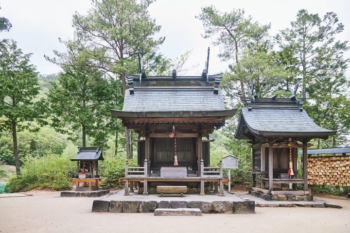 【广岛县世罗町】体验电影里的主人公！邂逅鲜花、茶与神秘的悠闲之旅