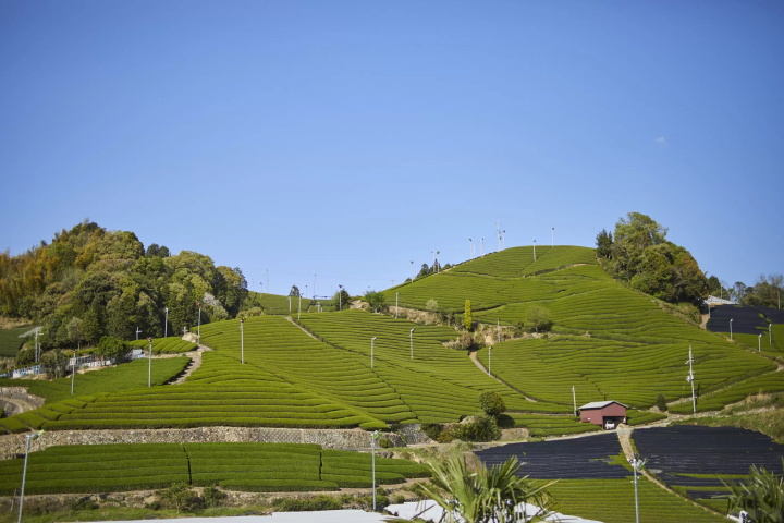 [京都府南山城村]體驗古老日本之美的旅程