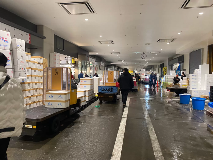 【東京】壽司職人帶路!一起探訪東京豐洲市場,享用當天直送的極品壽司