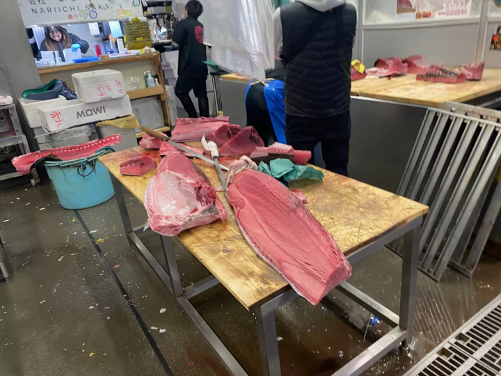 【東京】壽司職人帶路!一起探訪東京豐洲市場,享用當天直送的極品壽司