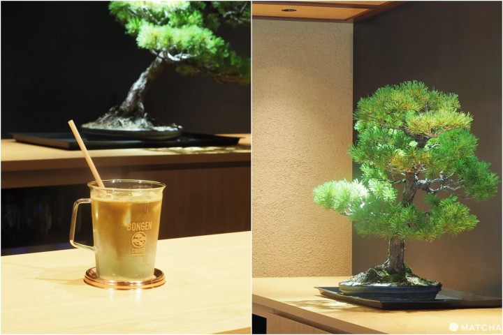 Iced Matcha Espresso Coffee Latte