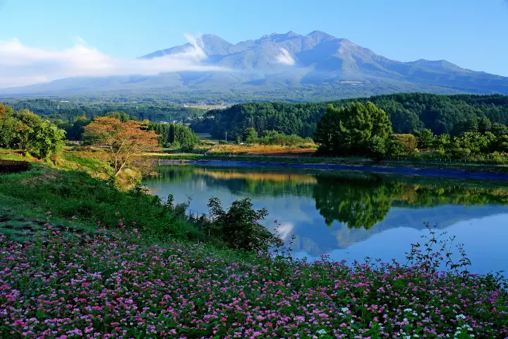 羽田出发!北杜周边公路旅行,欣赏镰仓、富士和忍野八海的壮丽景色