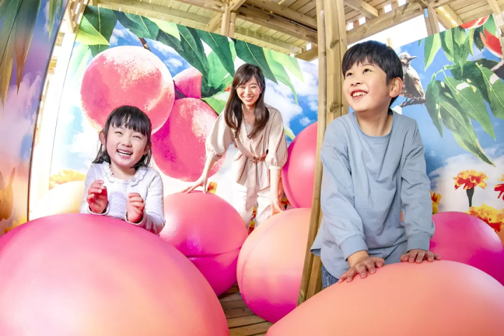 Inside the Garden Maze Potagenne. 