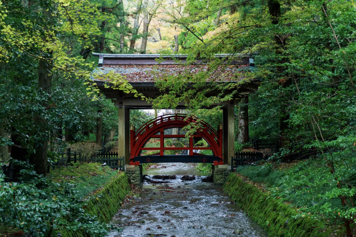 从东京出发，畅游新潟！如果您要去长冈看烟花，我们将为您推荐一些可以一起欣赏的景点！