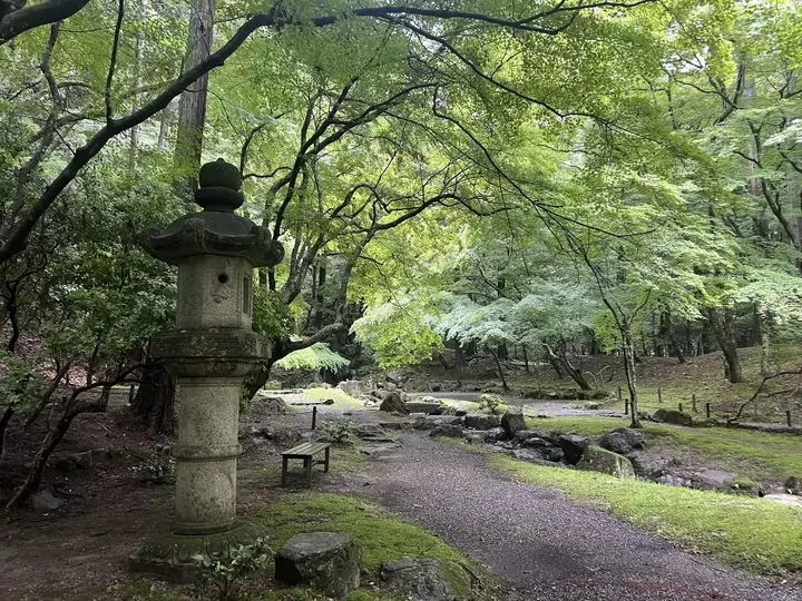 [Kyoto] Gold-Guide's recommendations for a quiet stay in Kyoto and the soothing Daigoji Temple