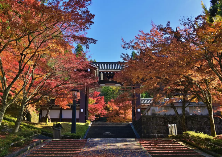 단풍 명소를 둘러싼 후쿠이·카츠야마의 자전거 여행~카츠야마역에서 편리한 E-bike 렌터사이클