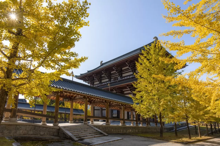 단풍 명소를 둘러싼 후쿠이·카츠야마의 자전거 여행~카츠야마역에서 편리한 E-bike 렌터사이클