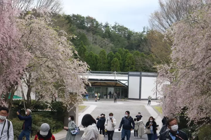 [Shiga] Gold-Guide's recommended way to spend time at the Miho Museum