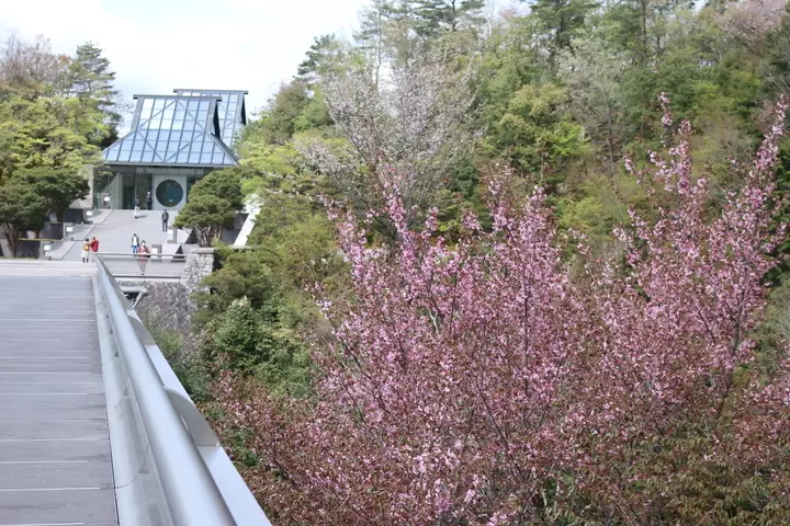 [Shiga] Gold-Guide's recommended way to spend time at the Miho Museum