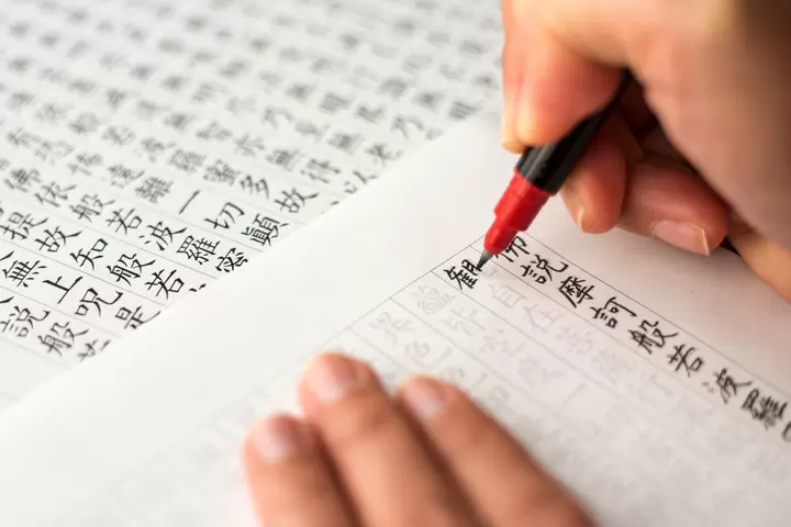 【京都】厭倦了人潮擁擠的熱門旅遊勝地嵐山，推薦您前往大覺寺