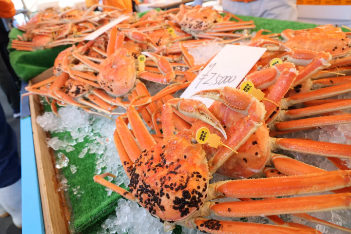 [กำหนดจัดในปี 2568] เมืองเอจิเซ็น เมืองแห่งปูเอจิเซ็น! "เทศกาลปูเอจิเซ็น" - วันที่ การเดินทาง และอื่นๆ