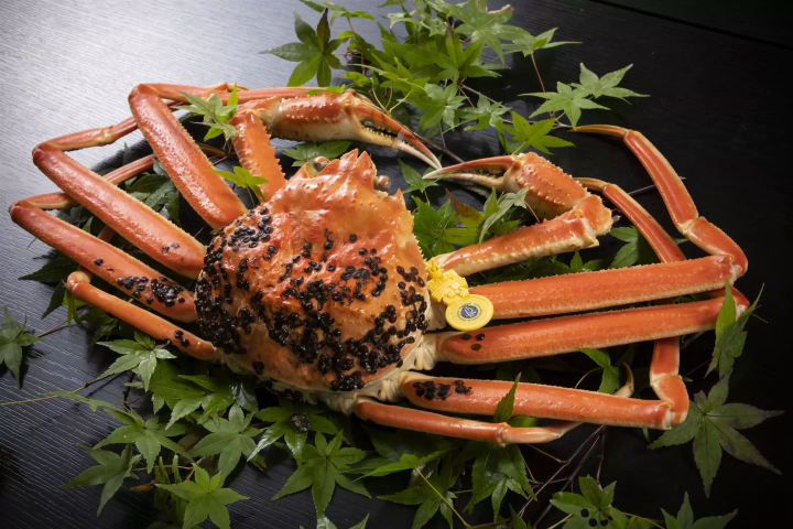 [กำหนดจัดในปี 2568] เมืองเอจิเซ็น เมืองแห่งปูเอจิเซ็น! "เทศกาลปูเอจิเซ็น" - วันที่ การเดินทาง และอื่นๆ