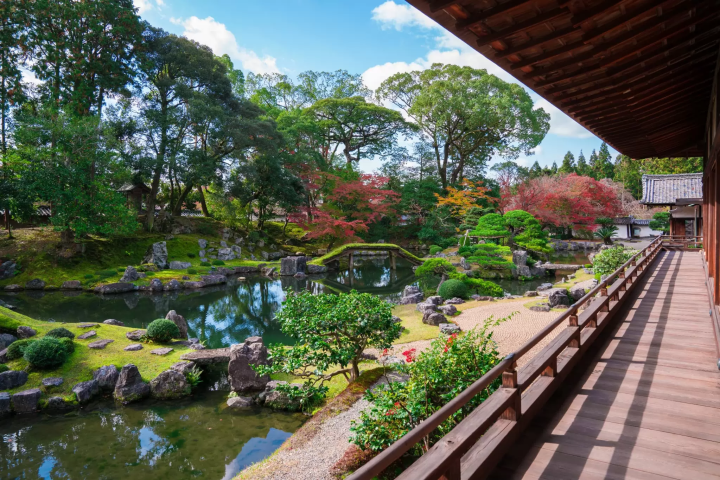 [Kyoto] Gold-Guide's recommendations for a quiet stay in Kyoto and the soothing Daigoji Temple