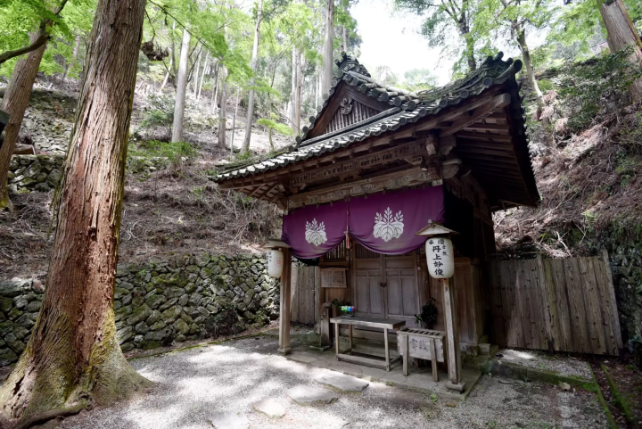 [Kyoto] Gold-Guide's recommendations for a quiet stay in Kyoto and the soothing Daigoji Temple