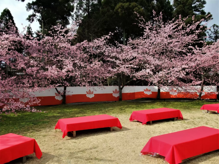 [Kyoto] Gold-Guide's recommendations for a quiet stay in Kyoto and the soothing Daigoji Temple