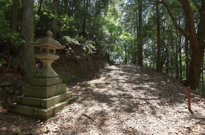 [Kyoto] Gold-Guide's recommendations for a quiet stay in Kyoto and the soothing Daigoji Temple