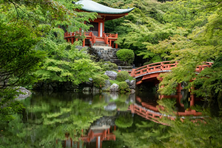 [Kyoto] Gold-Guide's recommendations for a quiet stay in Kyoto and the soothing Daigoji Temple