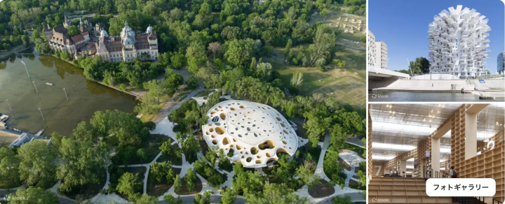The Architecture of Sou Fujimoto: Primordial Future Forest