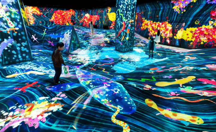 teamLab