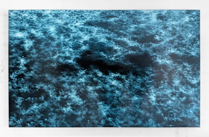 大阪关西博览会B区“连接世界、创造未来的艺术”展品介绍