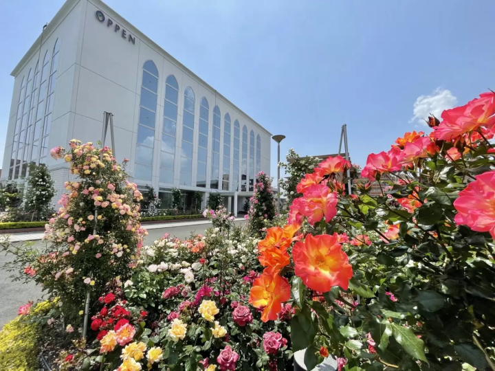 大阪关西博览会“Well-being & SDGs + Beyond”D区参展商介绍